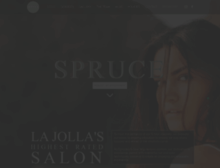 salonspruce.com screenshot