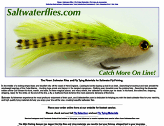saltwaterflies.com screenshot