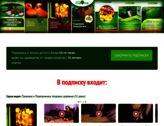 samsebesadovod.ru screenshot
