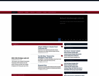 sanatkop.com screenshot
