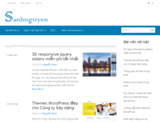 sanhnguyen.com screenshot