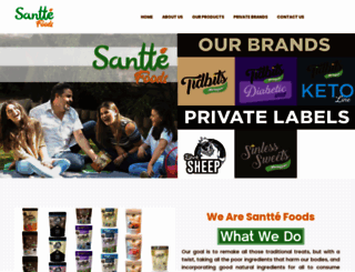 santte.com screenshot