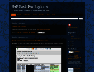 sapbasisforbeginner.com screenshot