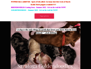 saratogagoldendoodles.com screenshot