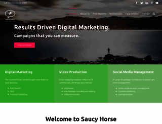 saucyhorse.co.uk screenshot