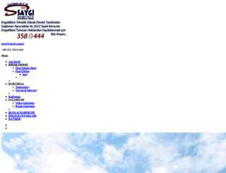 saygi.com.tr screenshot