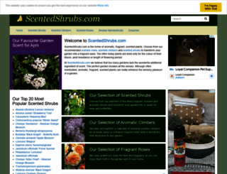 scentedshrubs.com screenshot