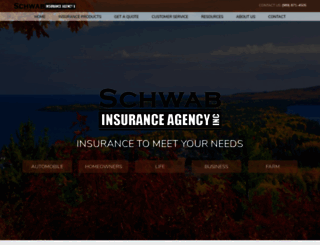 schwabinsagency.com screenshot