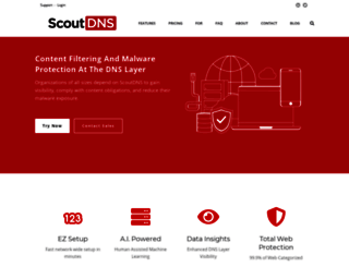 scoutdns.com screenshot