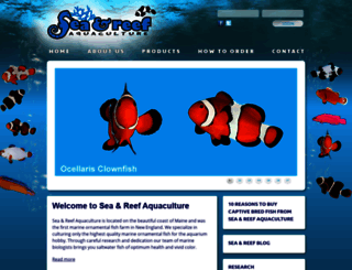 seaandreef.com screenshot