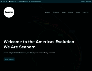 seabornnetworks.com screenshot