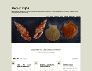 seashellsjds.eu screenshot
