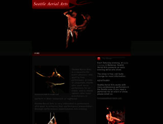 seattleaerialarts.com screenshot