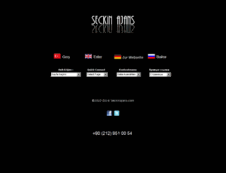 seckinajans.com screenshot