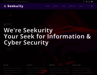 seekurity.com screenshot