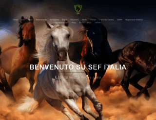 sef-italia.teamartist.com screenshot