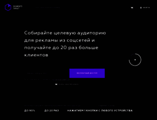 segmento-target.ru screenshot