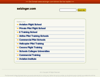 seizinger.com screenshot