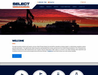 selectesi.com screenshot