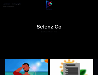 selenzco.myportfolio.com screenshot