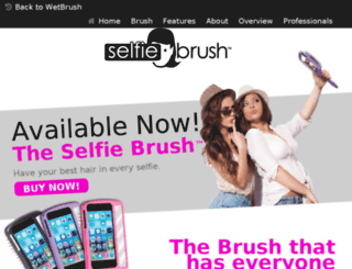 selfiebrush.com screenshot