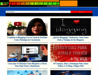 selvionegocios.boosterblog.es screenshot