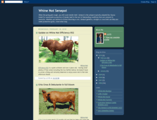 senepol.blogspot.com screenshot