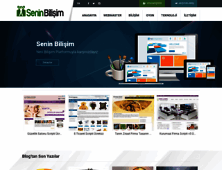 seninbilisim.com screenshot