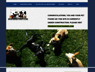 senvettech.com screenshot