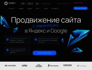 seo.skobeeff.ru screenshot