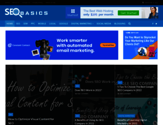 seobasics.net screenshot
