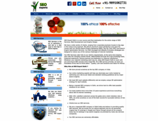 seoexpertdelhi.com screenshot