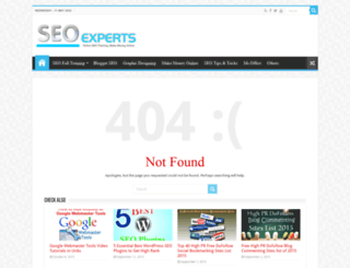 seoexperts.com.pk screenshot
