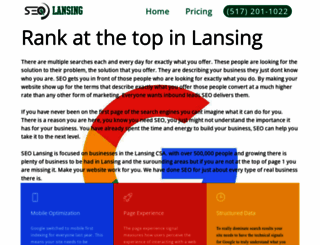 seolansing.com screenshot