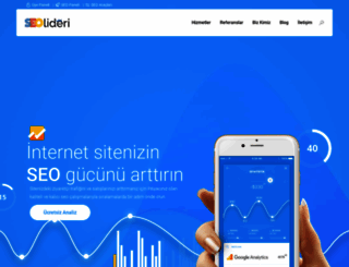 seolideri.com screenshot