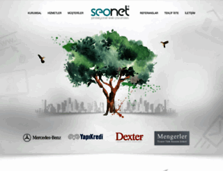 seonet.com.tr screenshot