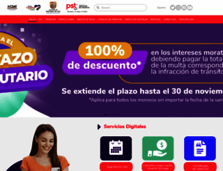 serviciosdetransito.com screenshot