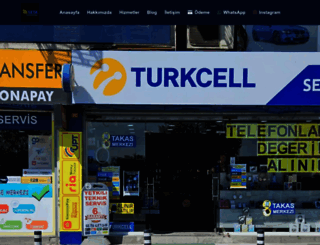 setaltd.org screenshot