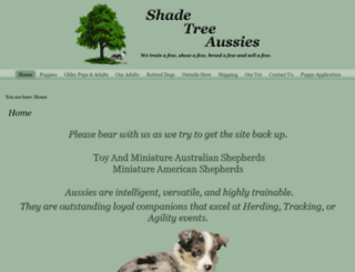 shadetreeaussies.com screenshot
