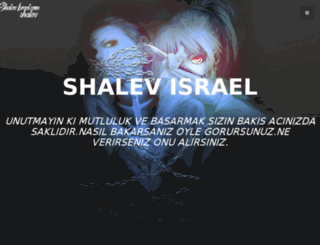shalevisrael.com screenshot