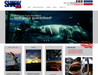 sharkzone.co.za screenshot