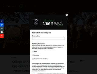 sheepconnectsa.com.au screenshot