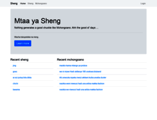 shengmtaa.com screenshot