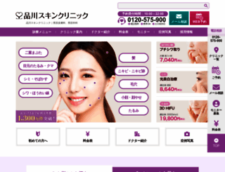 shinagawa-skin.com screenshot