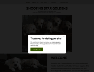 shootingstargoldens.com screenshot
