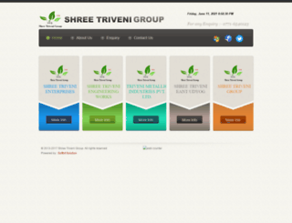 shreetrivenigroup.com screenshot