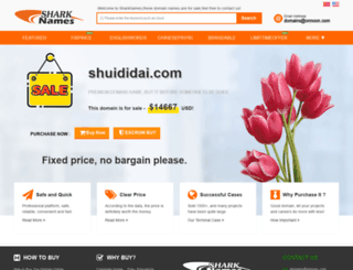 shuididai.com screenshot