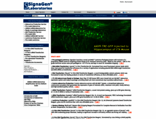 signagen.com screenshot