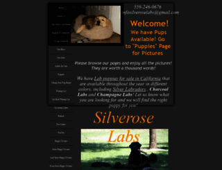 silveroselabs.com screenshot