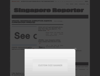 singaporereporter.net screenshot